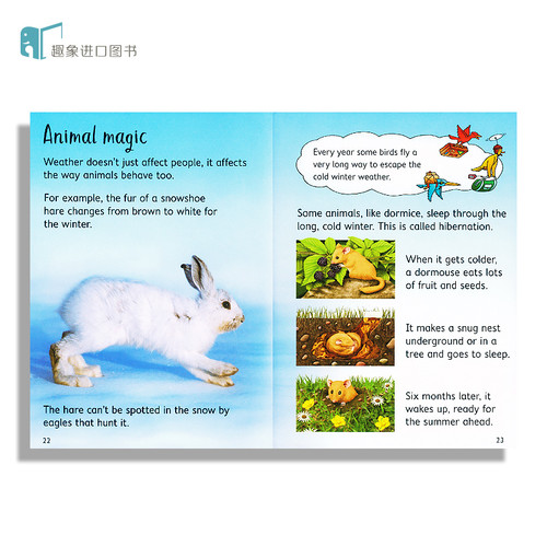 尤斯伯恩初学者系列 Usborne Beginners History/Nature 初探科学历史自然动物10册礼盒套装英文原版儿童英语启蒙绘本少儿科普读物 - 图0