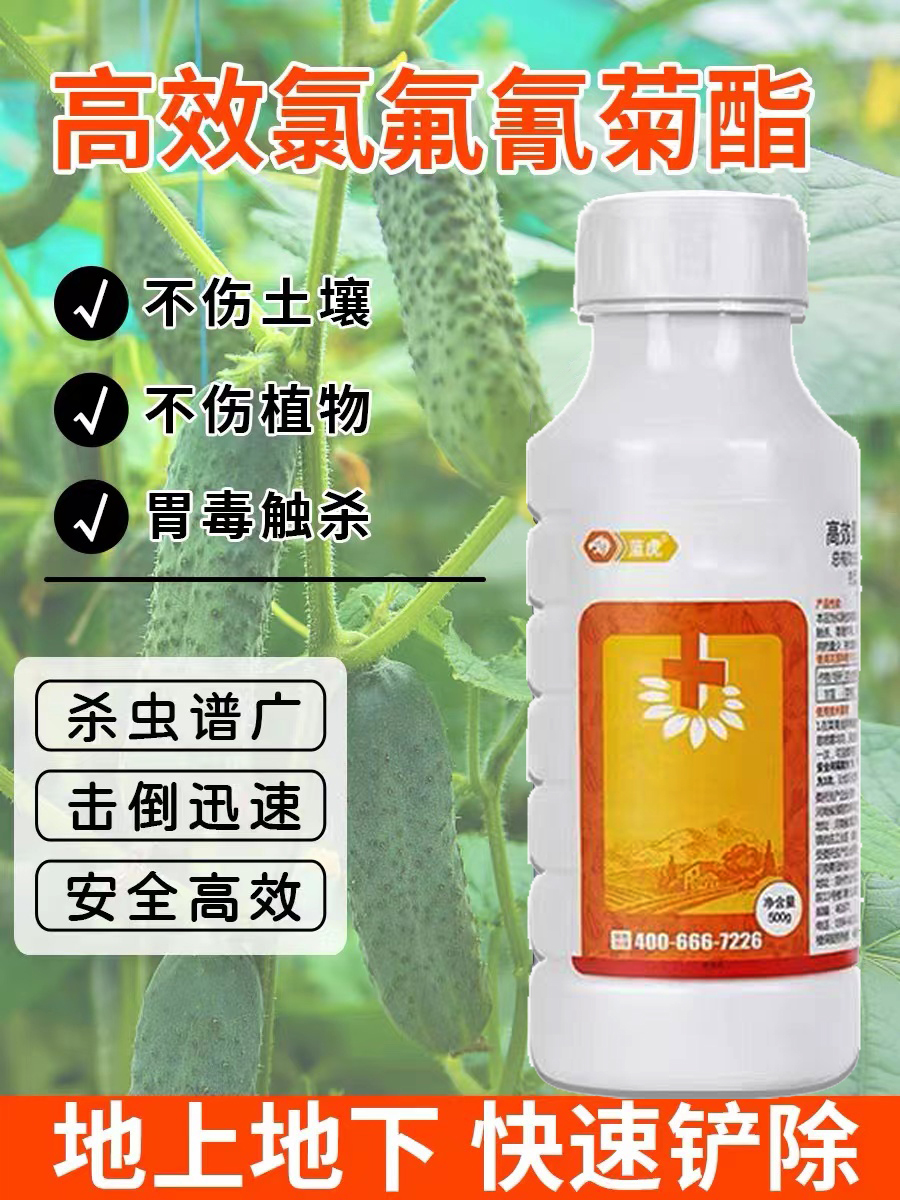 正品高效氯氰氟菊酯果树蔬菜蚜虫菜青虫地上下害虫农药杀虫剂大全-图1