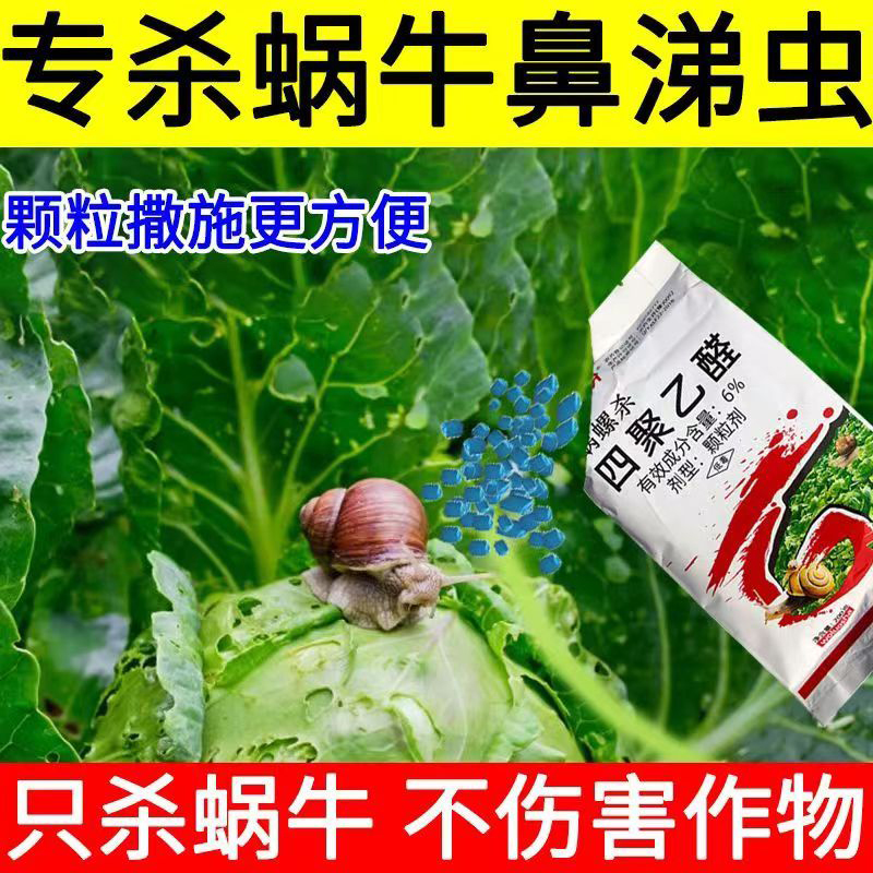 蜗牛药四聚乙醛颗粒杀螺药鼻涕虫专治杀蜗牛专用药菜地农药杀虫剂 - 图0