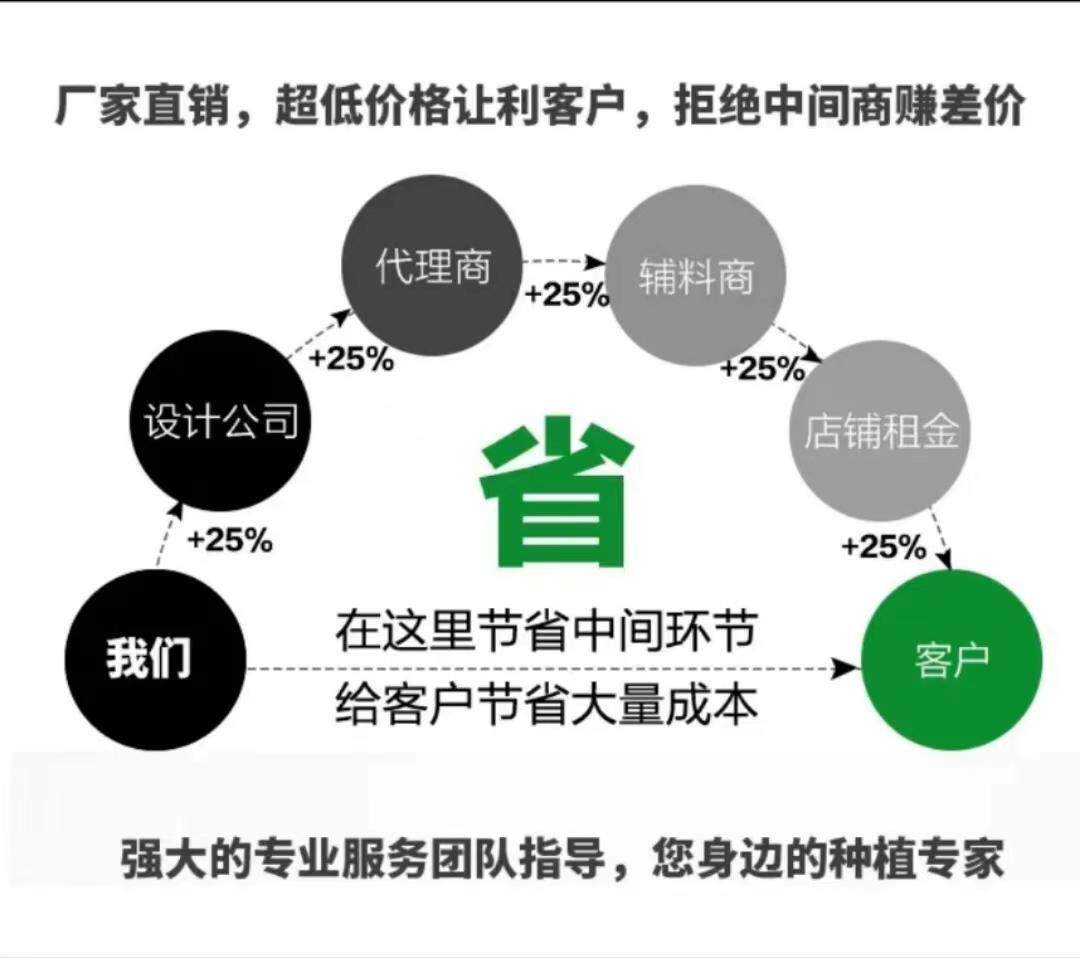 联苯噻虫胺颗粒剂韭蛆蛴螬蝼蛄黑头蛆金针虫跳甲地下虫杀虫剂