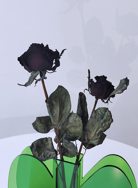 小众暗黑系玫瑰干花高级感吸色风干真花客厅装Q饰情人节送男友礼