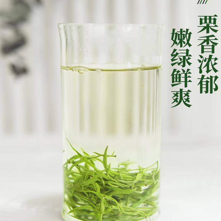特级蒙顶甘露2024明前绿茶四川雅安蒙顶山茶独立小包袋茶叶礼盒装