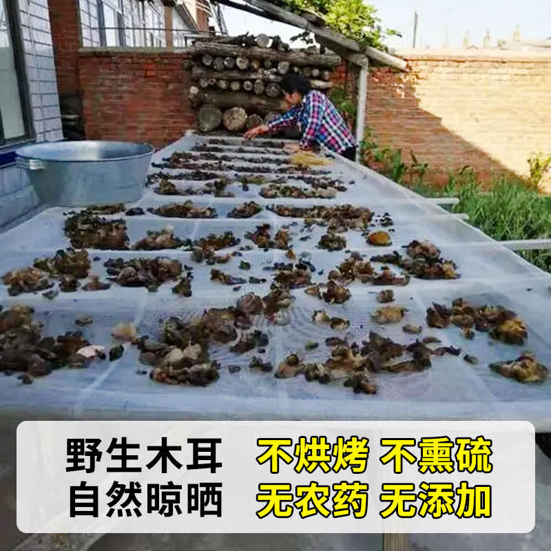 东北野生黑木耳干货椴木秋木耳天然软糯非特级小碗耳官方旗舰店