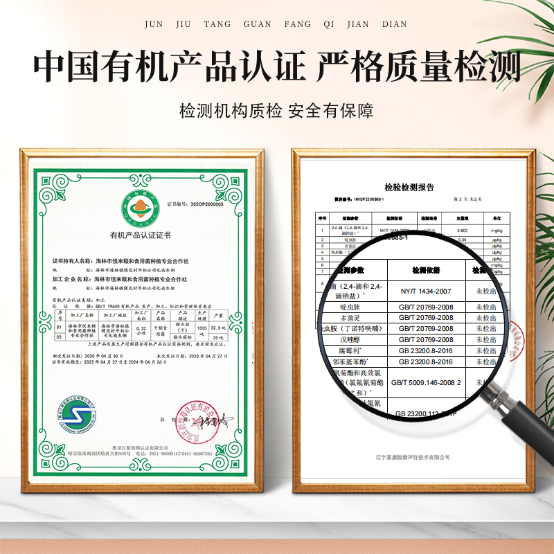 东北有机猴头菇干货官方旗舰店非长白山野生可打猴头菇粉养胃粉