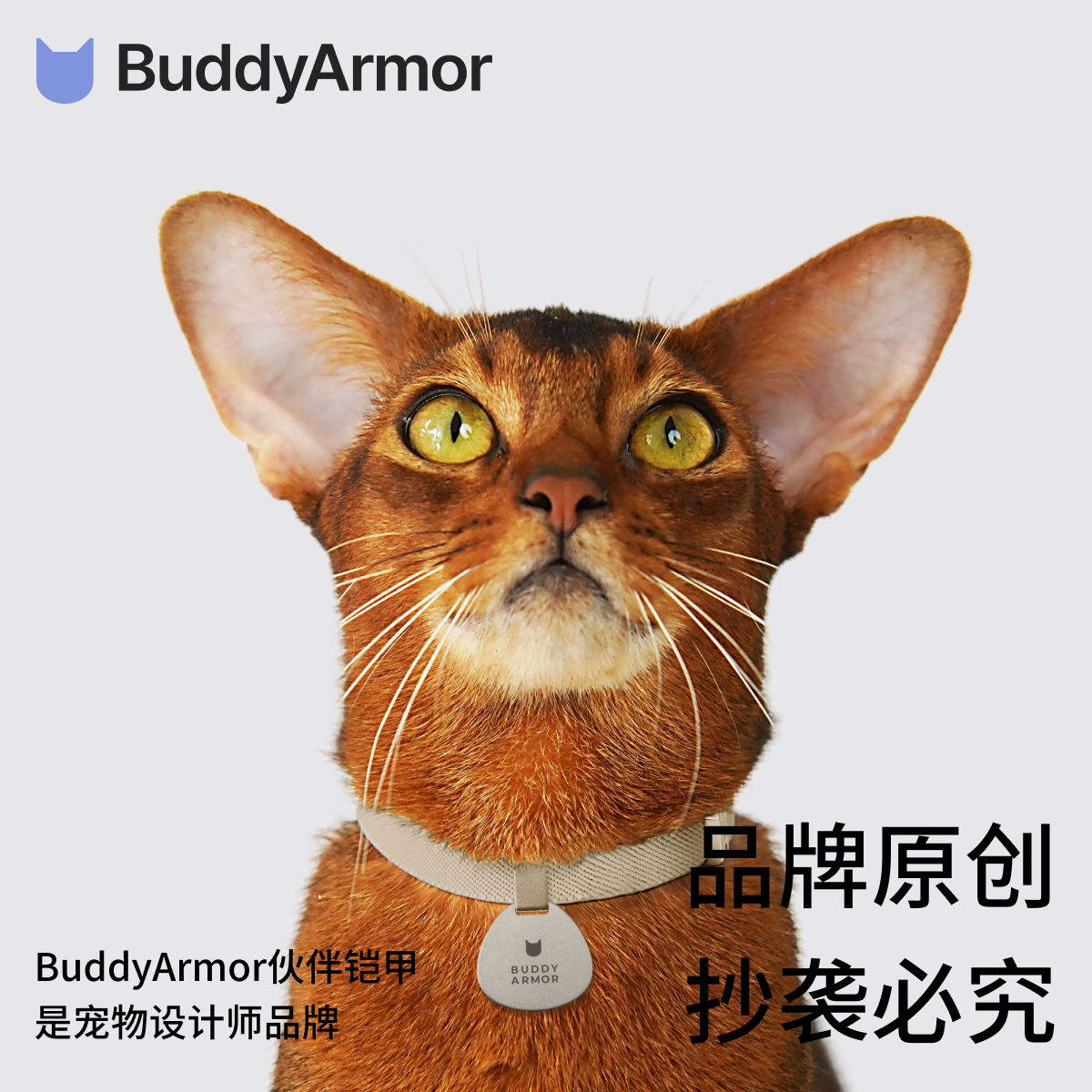 BuddyArmor猫小型犬挂牌宠物防丢失刻字名牌吊牌猫狗项圈饰品配饰 - 图0