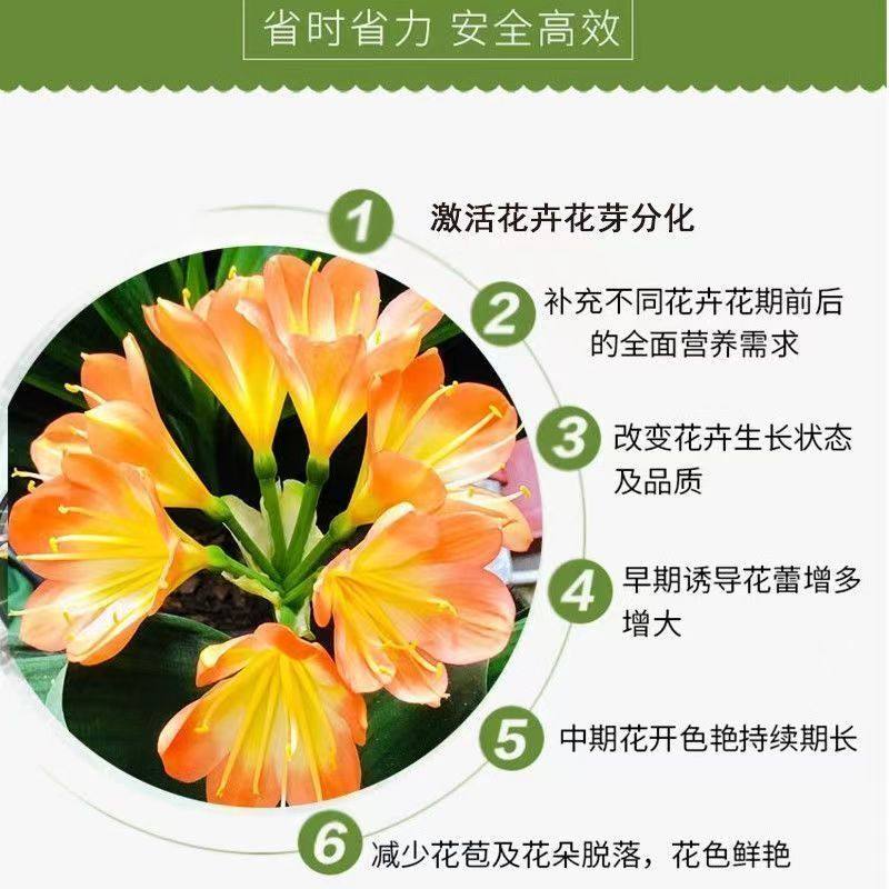 多箭王兰花专用正品蝴蝶兰多箭王冒箭促箭防夹箭绿植通用型液体肥,淘宝优惠券,粉丝福利购,淘宝优惠卷