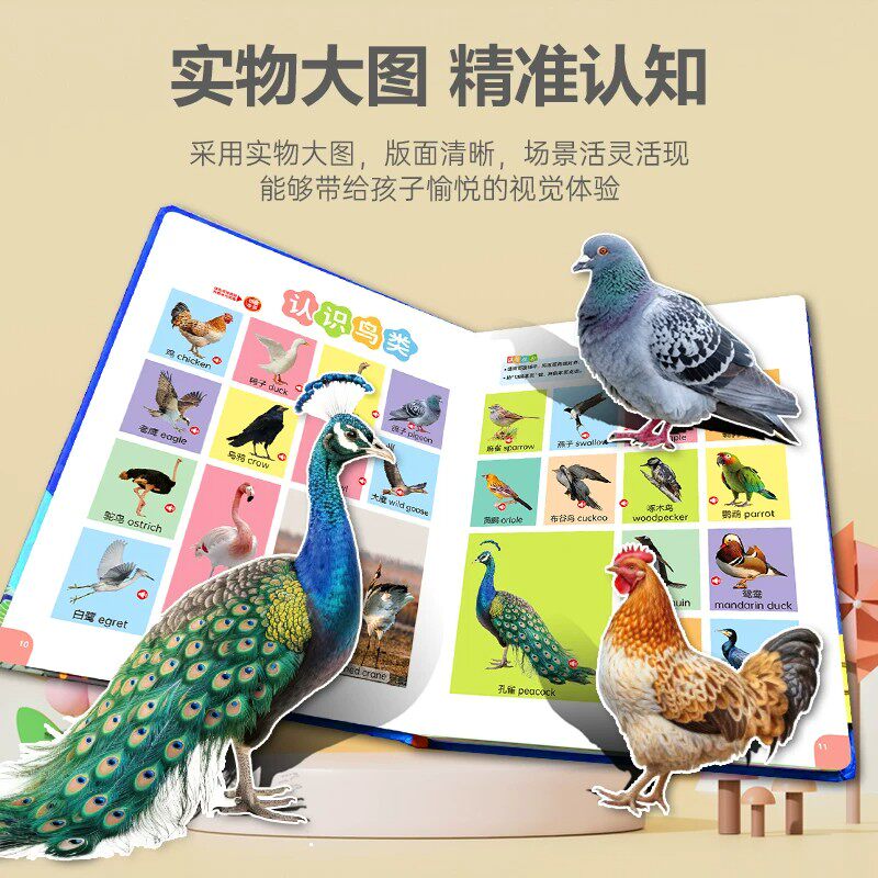 会说话的早教有声书幼儿园儿童启蒙识字点读发声书学习机益智玩具