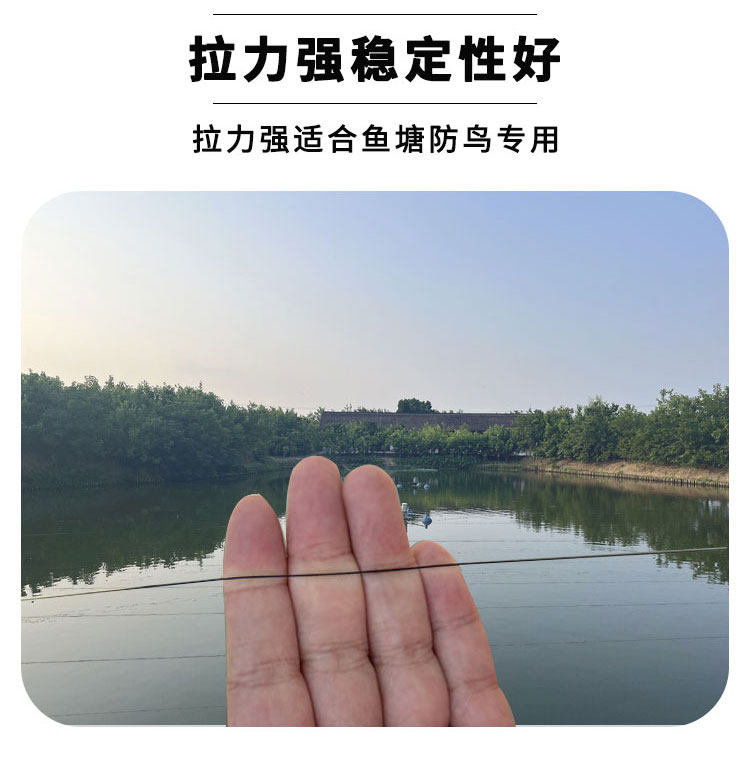 [鱼塘专用]灰喜鹊防鸟线鱼塘驱鸟防鸟线拉力大每轴4000多米,淘宝优惠券,粉丝福利购,淘宝优惠卷