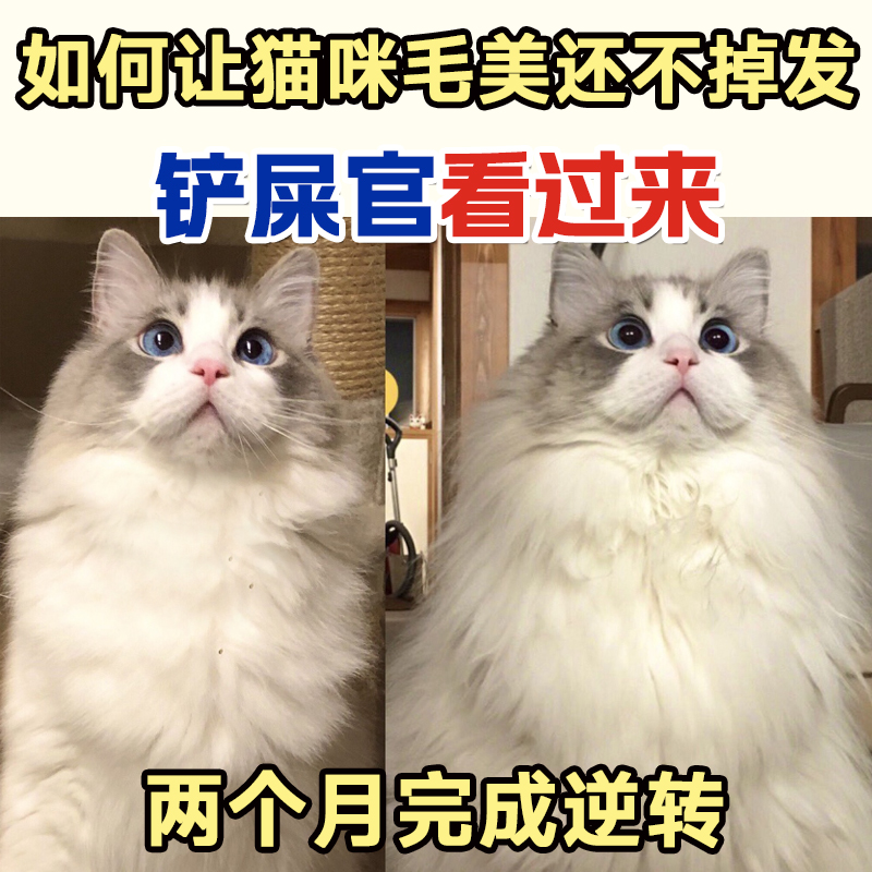 兽护神鱼油猫用猫咪狗狗宠物鱼油片通用营养膏美发护肤防掉毛专用 - 图2