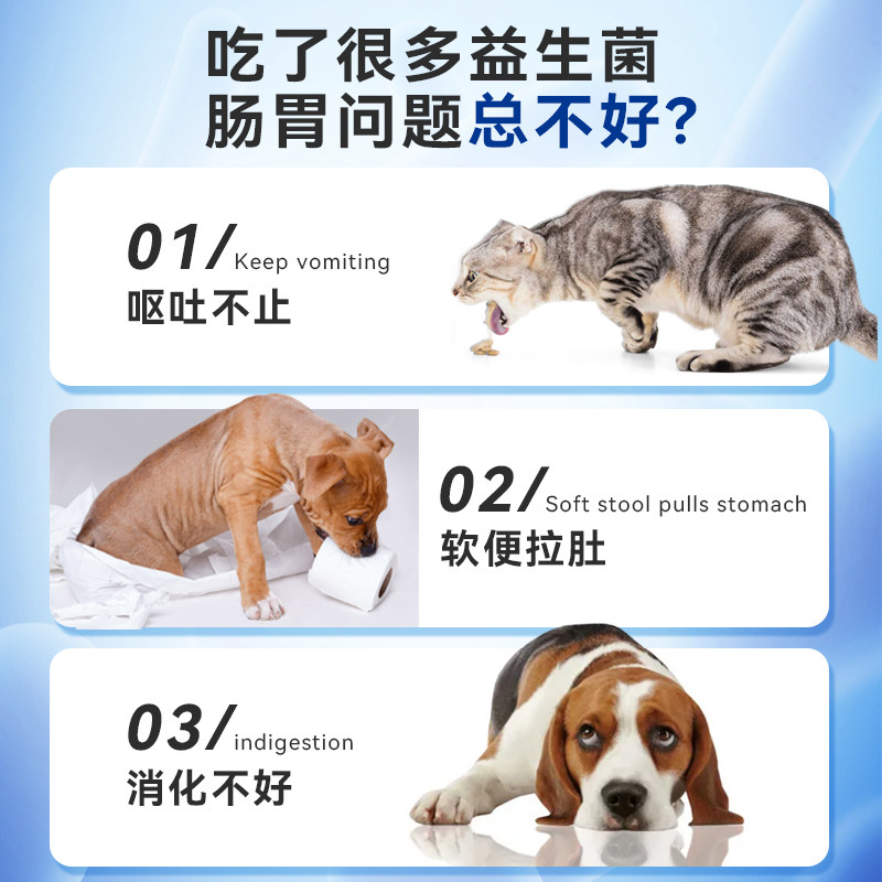  兽护神猫/狗保健品