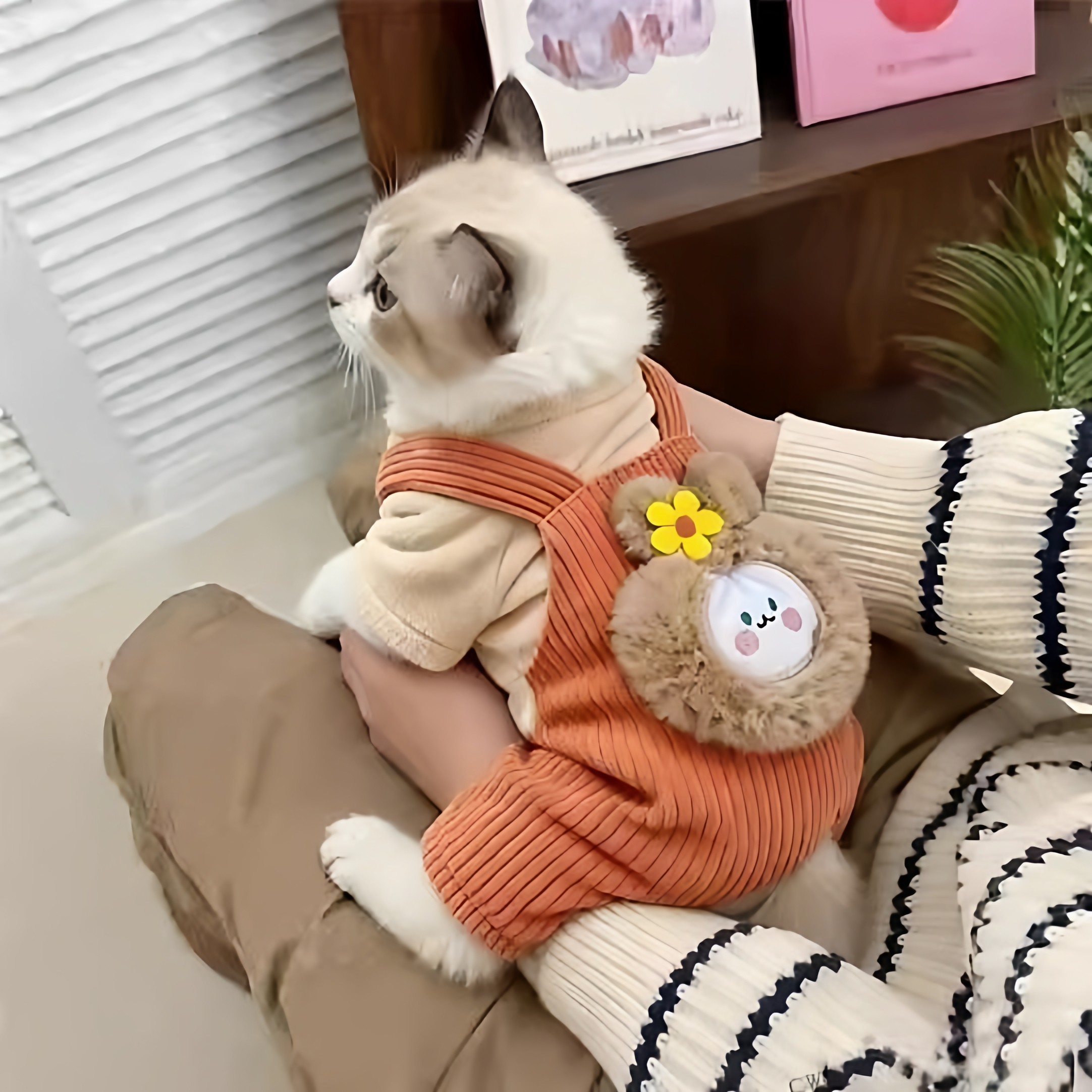 猫咪衣服冬衣加厚加绒四脚衣保暖可爱布偶德文狸花小型犬宠物服饰,淘宝优惠券,粉丝福利购,淘宝优惠卷