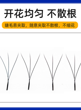 0.07浓密三叶草睫毛柔软不散根
