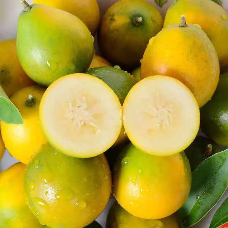 桂林脆皮金桔广西小金桔5斤新鲜水果当季整箱子柑桔纯甜10,淘宝优惠券,粉丝福利购,淘宝优惠卷