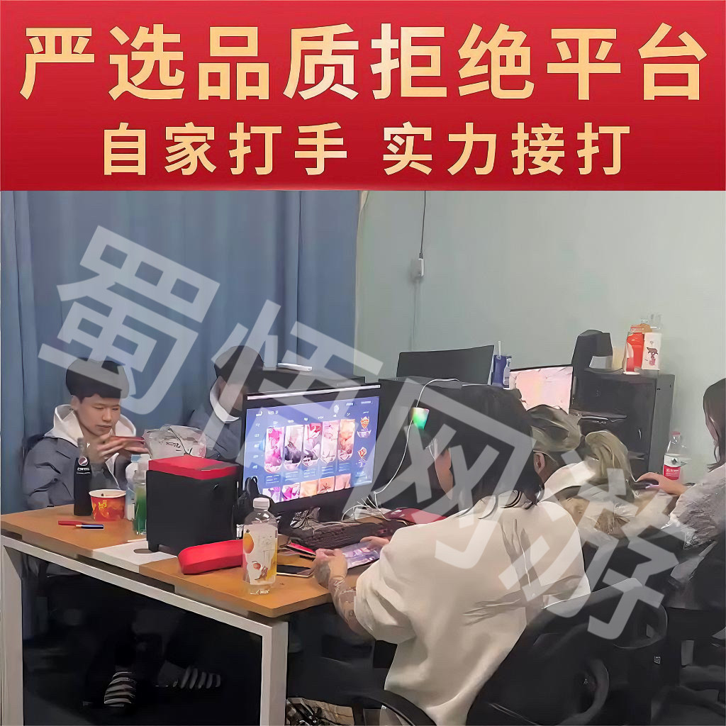 王者荣耀账户王者送荣耀代练打玩国服大小国标省标金标巅峰赛排位战力上分魔方