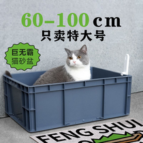 Cat Litter Basin Super Size 100cm Special Size 80cm Jumbo No Bully 40 Catty 60 Catty 50 Catty Large Size Maine Cat