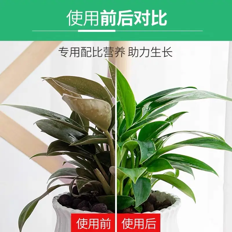 北施大叶金钻专用营养液改善黄叶卷边绿植通用型免稀释植物花肥料,淘宝优惠券,粉丝福利购,淘宝优惠卷
