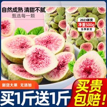 No Flower Fruit Dry without Add Lower Snack 3 Catty 1st Class Natural Weihai Xinjiang Special Grade Drying Flagship Store Milk Big Fruits