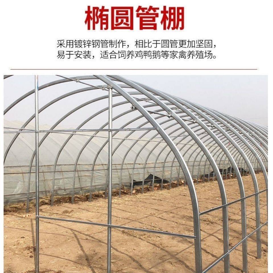 新款养殖大棚全套大棚骨架温室种植棚保温隔热养鸡棚羊棚牛棚养猪 - 图0