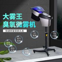 New Hair Salon Steam Otter Oil Engine Beauty Hair Care Hair 03 Ozone Care Instrument Nutrition Machine Spray Hairdresser Special