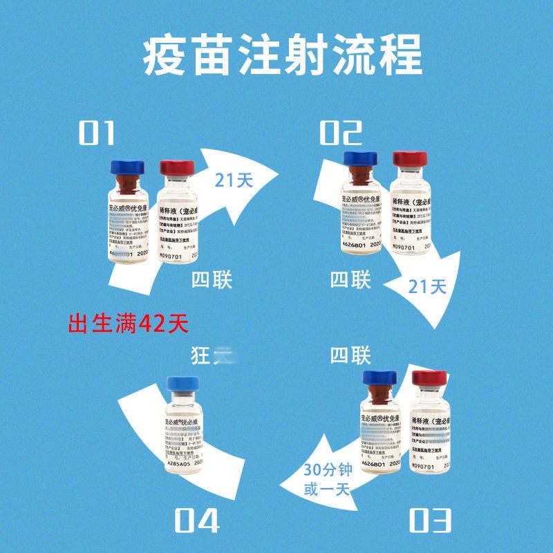 英特威狗疫苗宠物成犬小狗二四联狂犬疫苗幼犬套餐针预防细小正品,淘宝优惠券,粉丝福利购,淘宝优惠卷