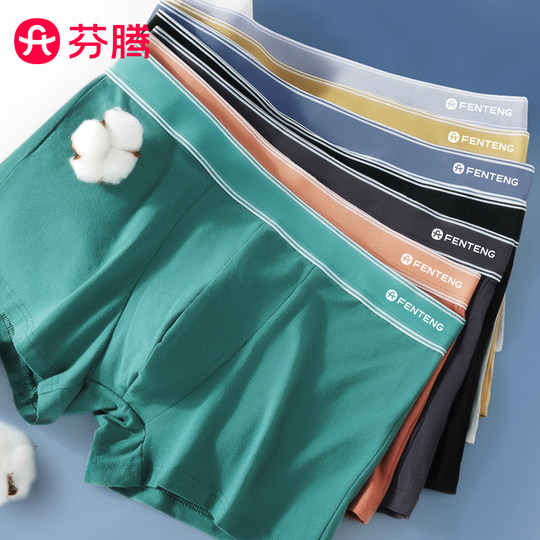 芬腾纯棉内裤男士2025新款青少年运动短裤男款男生抗菌四角平角裤