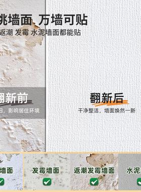 彩宸客厅卧室防水防潮亚麻免工具