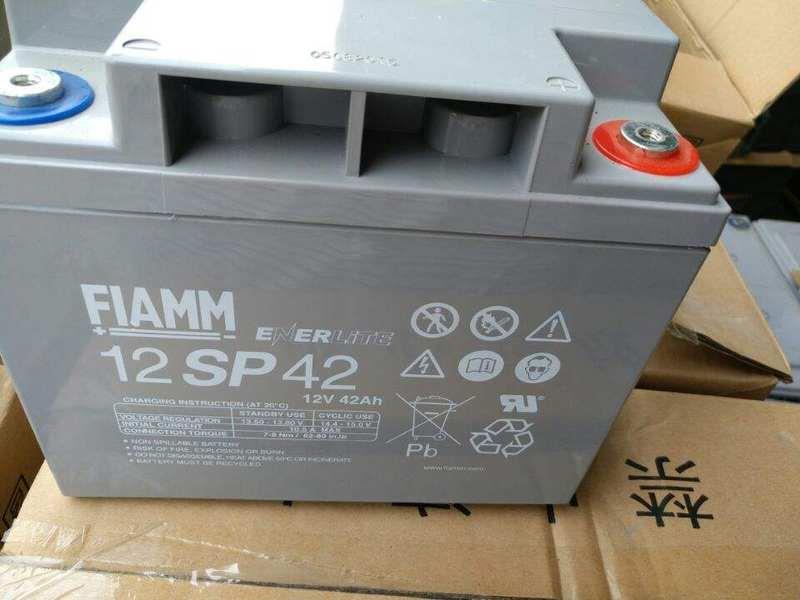 FIAMM武汉12SP42 12V42AH直流屏ups电源电力设备用-图1