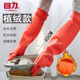 Pull back warm thickened latex flocked gloves 45CM