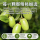 Licorice Olive Chaoshan Specialty Official Authentic Product