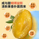 Licorice Olive Chaoshan Specialty Official Authentic Product
