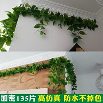 Simulation Vines Green Loaf Leaf Decoration Fake Leaves Shade Green Planting Plastic Flowers Vines Water Pipe Tract Shelter Air Conditioning Green Leafed Flowers