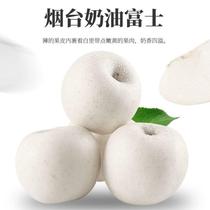 Shandong Cream Apple Fresh White Apple Whole Box Milk Fresh Fruit Pregnant Woman Nutritional Fruits When Season Gift Boxes