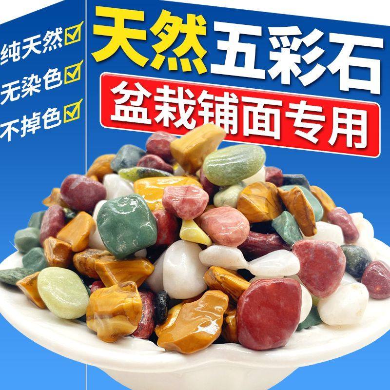 天然五彩石雨花石鱼缸造铺底盆栽水培多肉植物铺面装饰小石头,淘宝优惠券,粉丝福利购,淘宝优惠卷