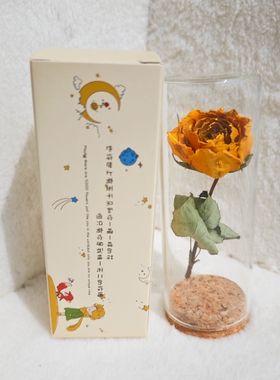 大号小王子的玫瑰花 干花永生花礼盒圣诞节送女生礼物许愿玻璃瓶