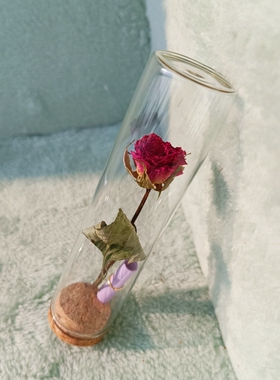 天然玫瑰花干花许愿瓶摆件