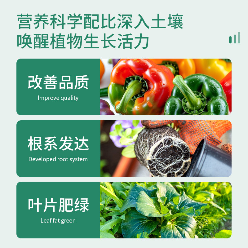 品氏基质普兰plantacote缓释肥营养粒兰花月季多肉生根肥料30g