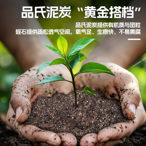 蛭石生根保湿透气多肉月季扦插养花配土园艺养花营养土孵龟蛋通用 - 图2