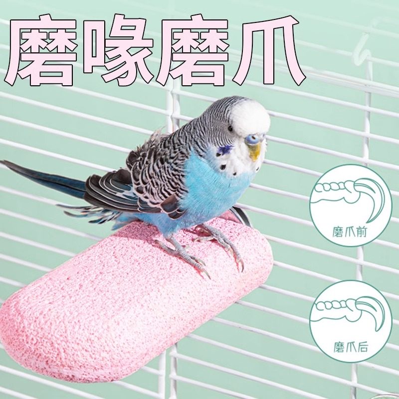 鹦鹉磨爪棒磨喙磨砂站杆虎皮玄凤小太阳站棍鸟笼专用站台磨嘴玩具,淘宝优惠券,粉丝福利购,淘宝优惠卷