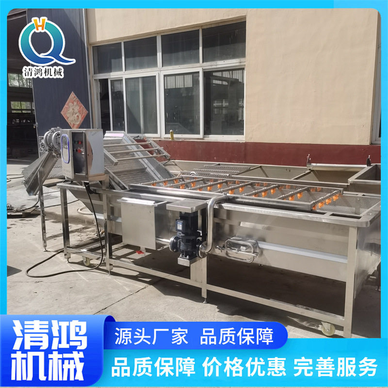 商用大型海带清洗机油麦菜气泡设备学生餐厅蔬菜加工流水线果蔬,淘宝优惠券,粉丝福利购,淘宝优惠卷