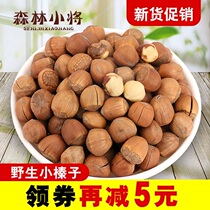 Iron Ridge wild hazelnut new stock Northeastern special production dried fruit original flavor fried and cooked thin leather nut snacking hand pat