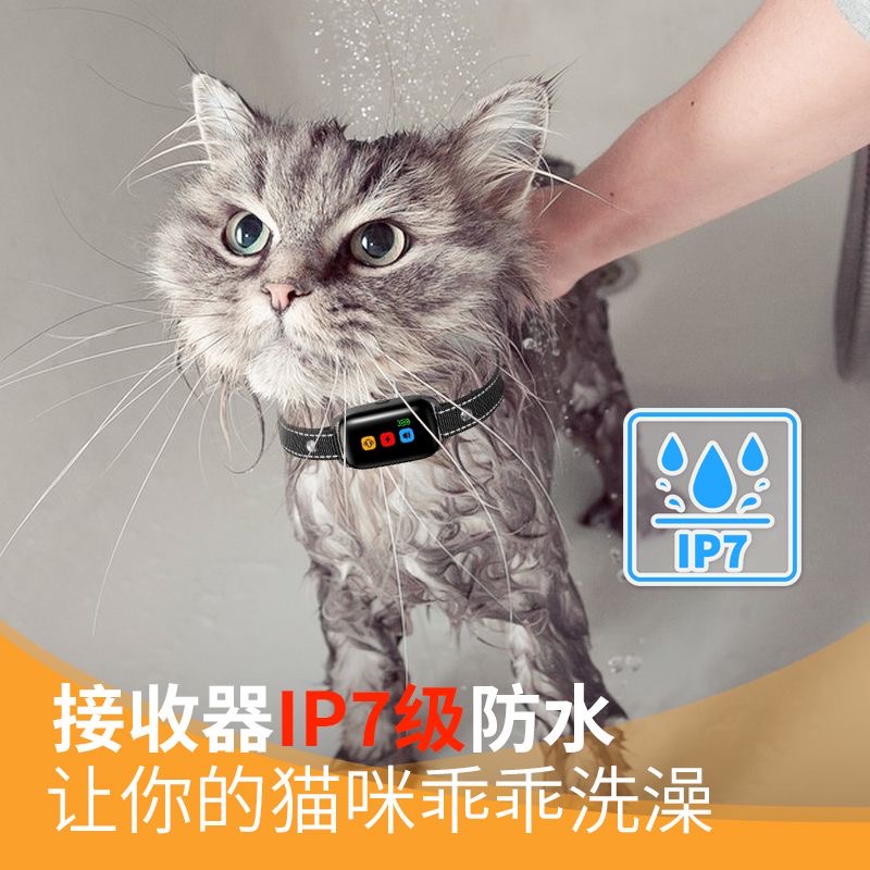 SODOG猫咪止叫器防猫叫神器宠物猫用止吠器遥控电击项圈防止扰民 - 图2