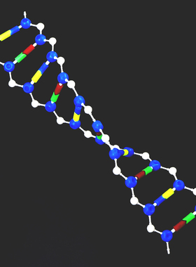 金松教学仪器DNA双螺旋结构模型