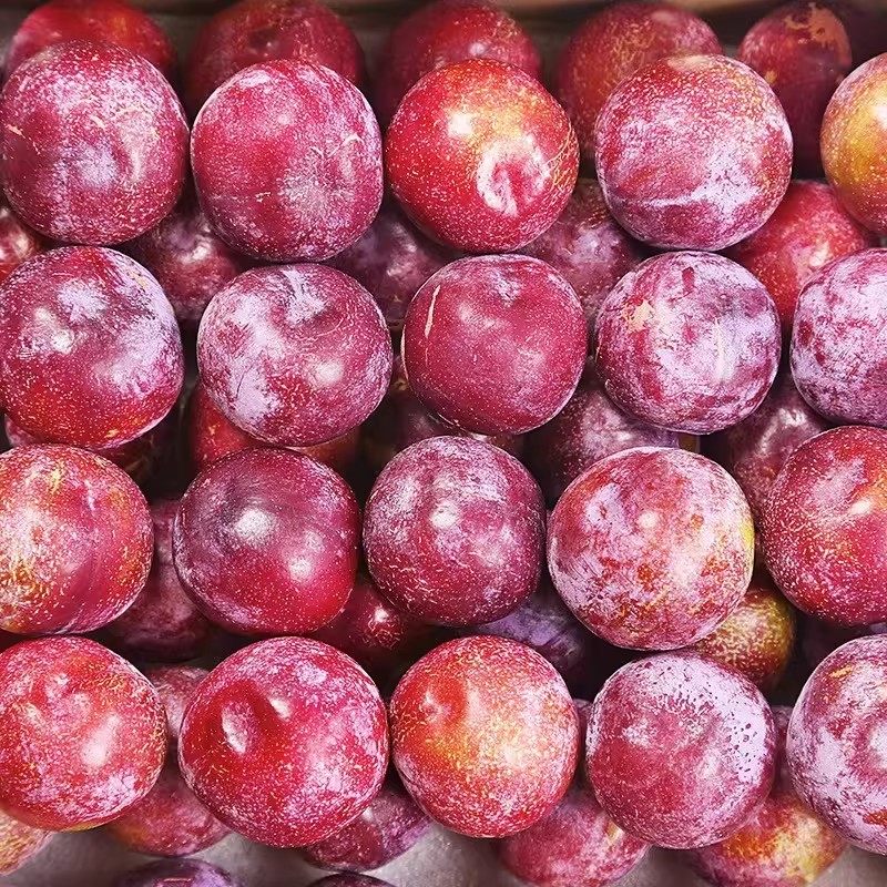 四川高山脆红李红心李脱骨李新鲜水果空心青红脆李半边红李子现货,淘宝优惠券,粉丝福利购,淘宝优惠卷