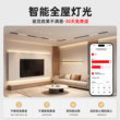星月影Zen3智能二三线灯带电源24V低压灯带控制器已接入米家APP