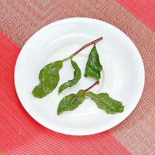 福建安溪2026新茶 浓香型铁观音茶叶  兰花香乌龙茶春茶 官方正品 - 图2