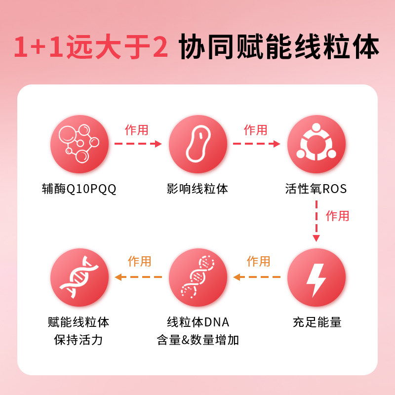 HealthLife海斯康宝辅酶Q10胶囊保护心脏熬夜常备心肌血管保健品