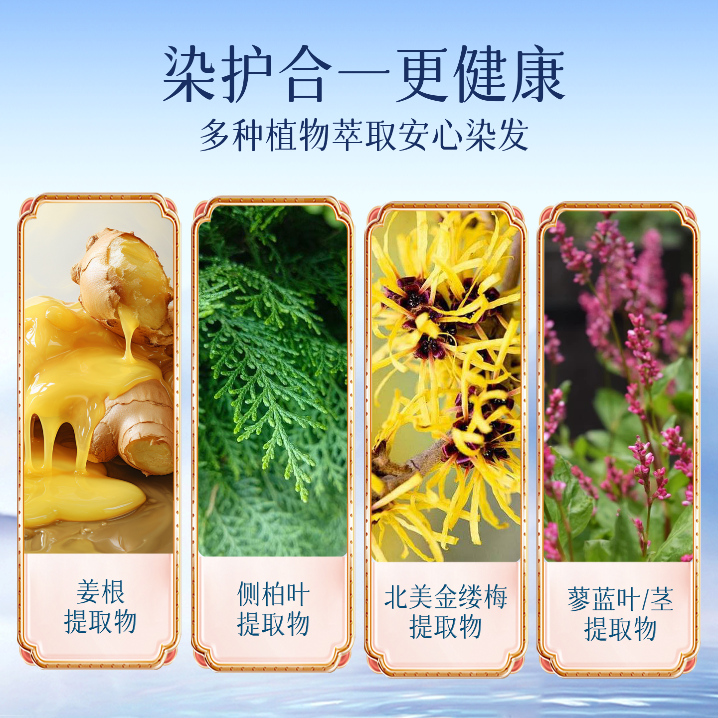 【官方旗舰店】侗染染美人植萃护染发膏剂不黑头皮不刺激温和盖白,淘宝优惠券,粉丝福利购,淘宝优惠卷