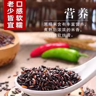 血糯米东北新米正宗黑糯白糯米紫米饭团芋泥热奶宝包粽子烘培商用 - 图3