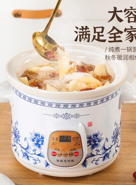 电炖炖锅全自动煮粥锅煲汤神器