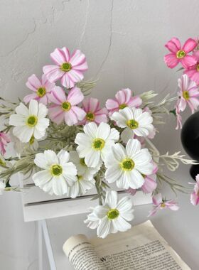 风格桑花仿花菊波斯雏菊花束假花